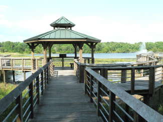 Cooter Pond Inverness